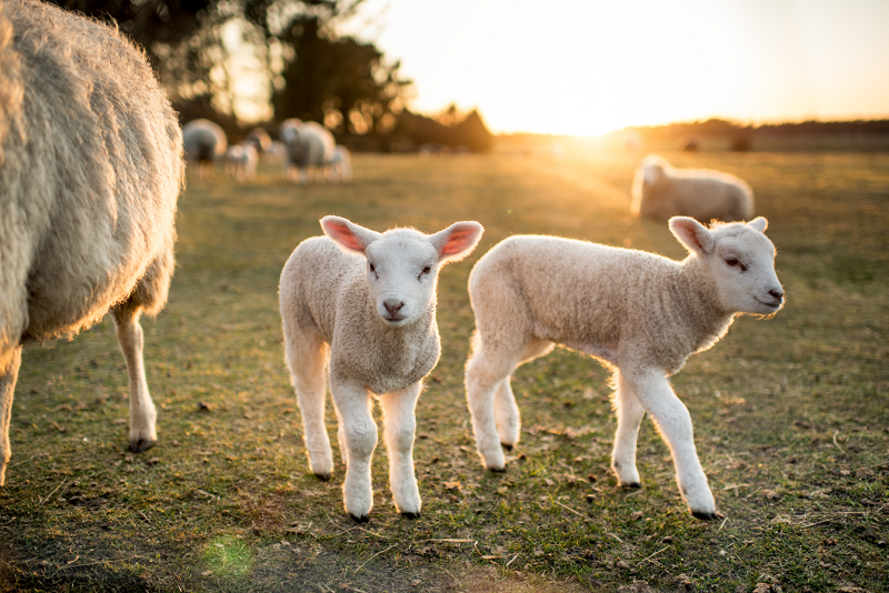 Spring has sprung!