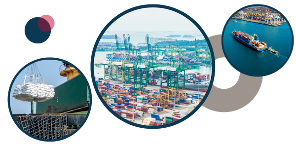 Specialists in UK Ports & Logistics